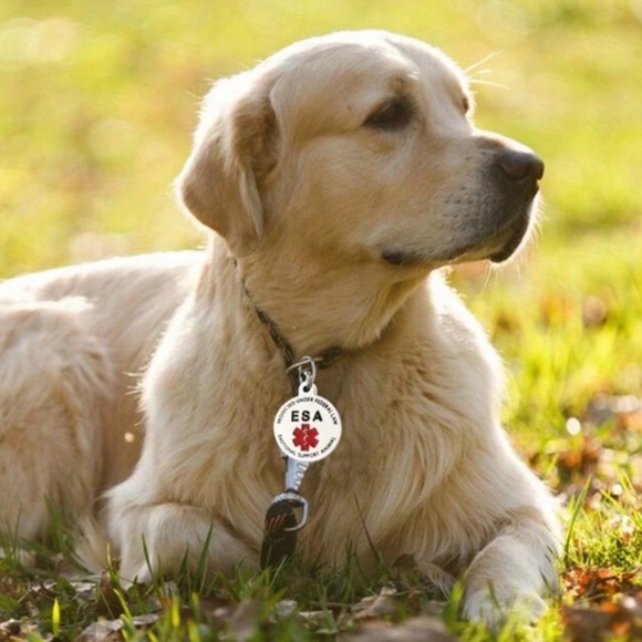 ✨3for$38 New Stainless Steel Silver ESA Service Animal Identification Charm - Picture 2 of 11